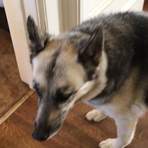 Meet your Posher, Jane